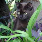 Don Tyre's photo
