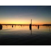 Jason Marcie Saucer's photo