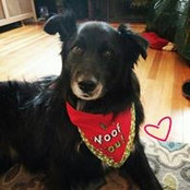 Brianna Doyle's photo