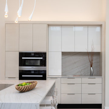 Contemporary with a Neutral Colorway in Potomac, MD