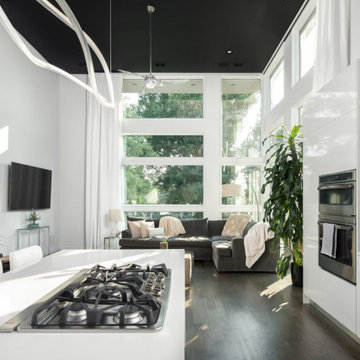 Gillingham Strauss Residence by Dialect Design, LLC