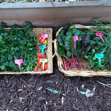 ebay, inc. Corporate Vegetable Garden Installation & Employee Garden Education