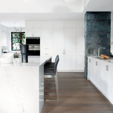 Organic Transitional Interior in Altamont
