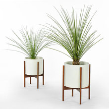 Plant Pots - indoors
