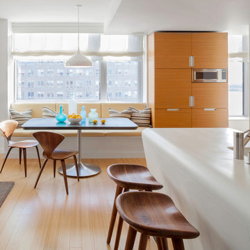 Battery Park Duplex