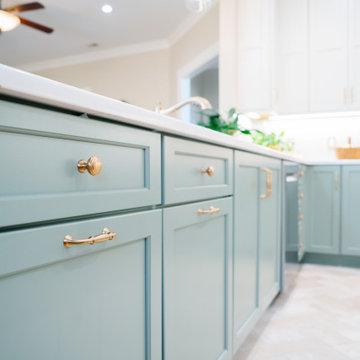 Chapin Home Remodel