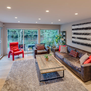 Modern Transitional Home Reno