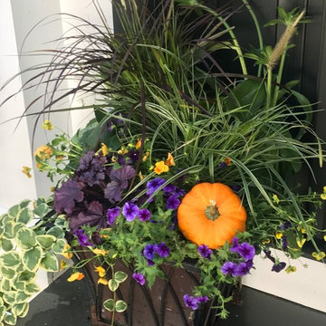 Container Gardens- Fall