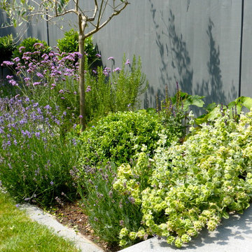 A mediterranean city garden