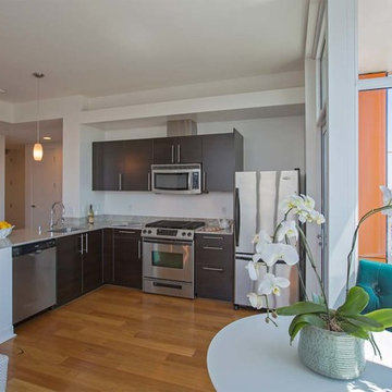 China Basin apartment