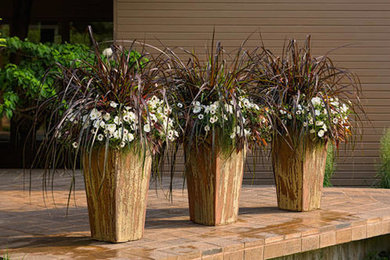 This is an example of a contemporary landscaping in New Orleans.