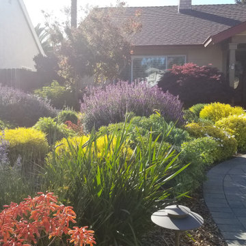 Lawn Replacement-Low Maintenance Landscape