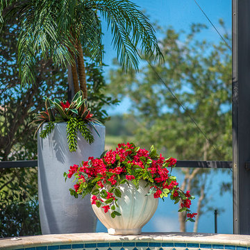 Vasari Pool Lanai