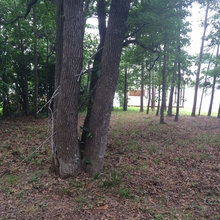 Lake lot