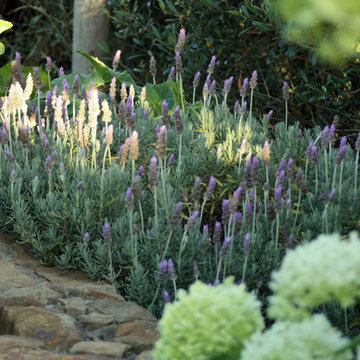 French Vegetable Garden