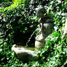 gardens