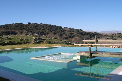 Modelo de piscina con fuente infinita grande a medida en patio trasero