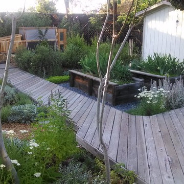 Shoestring eco-paradise and plant experimentation station