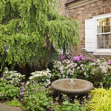 Water Feature