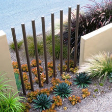 rose garden plantings