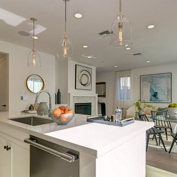 Hawthorne Oak | Novella Collection  | L.A., California