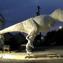 Dinosaur Backyard