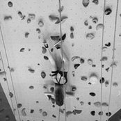 Serena Ibrahim's photo