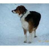 Foto von Candace Kay