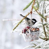 Lisa Ghenne's photo