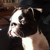 Karen Ausrine's photo