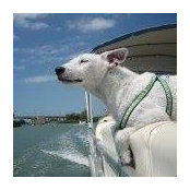 Cid Bolduc's photo