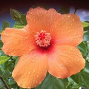 Barbara Barry's photo