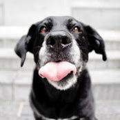 Jeremy Lyman's photo