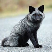 Randall Hobbie's photo