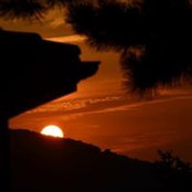 Ali Parlayan's photo