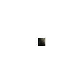 Jess Pimentel's photo