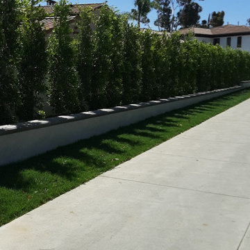 New construction Irrigation