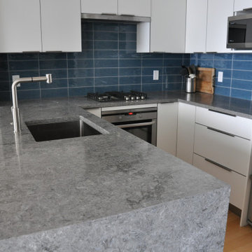 Modern Small Condo Kitchen