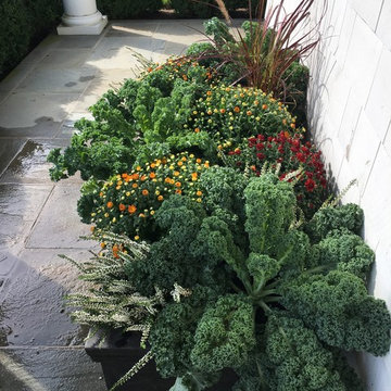 2017 autumn containers