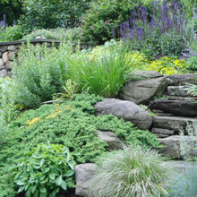 Slope landscaping