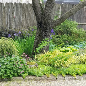 Small Urban Garden