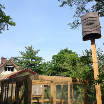 Highland Park, NJ. Certified NWF Natural Backyard Habitat