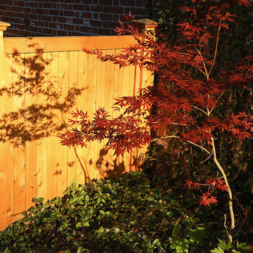 Fences & Gates