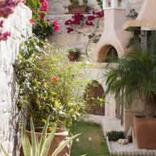 Front Landscaping