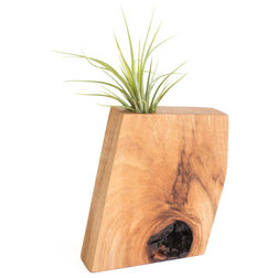 Transitional Indoor Pots And Planters by Boyce Studio