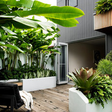 Outdoor Oasis