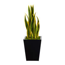 Faux Plant