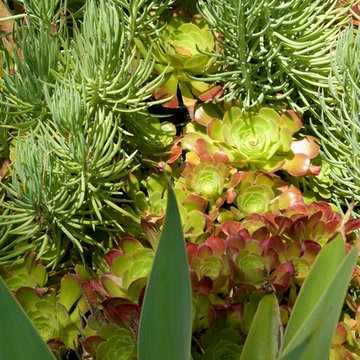 Leaf shapes add interest