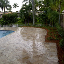 Central Backyard Project