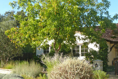 Design ideas for a large farmhouse drought-tolerant and full sun front yard stone garden path in San Francisco.